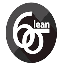 Lean Six Sigma Black Belt