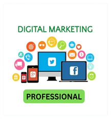 Digital Marketing-Professional