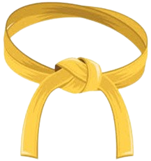 Six Sigma Yellow Belt